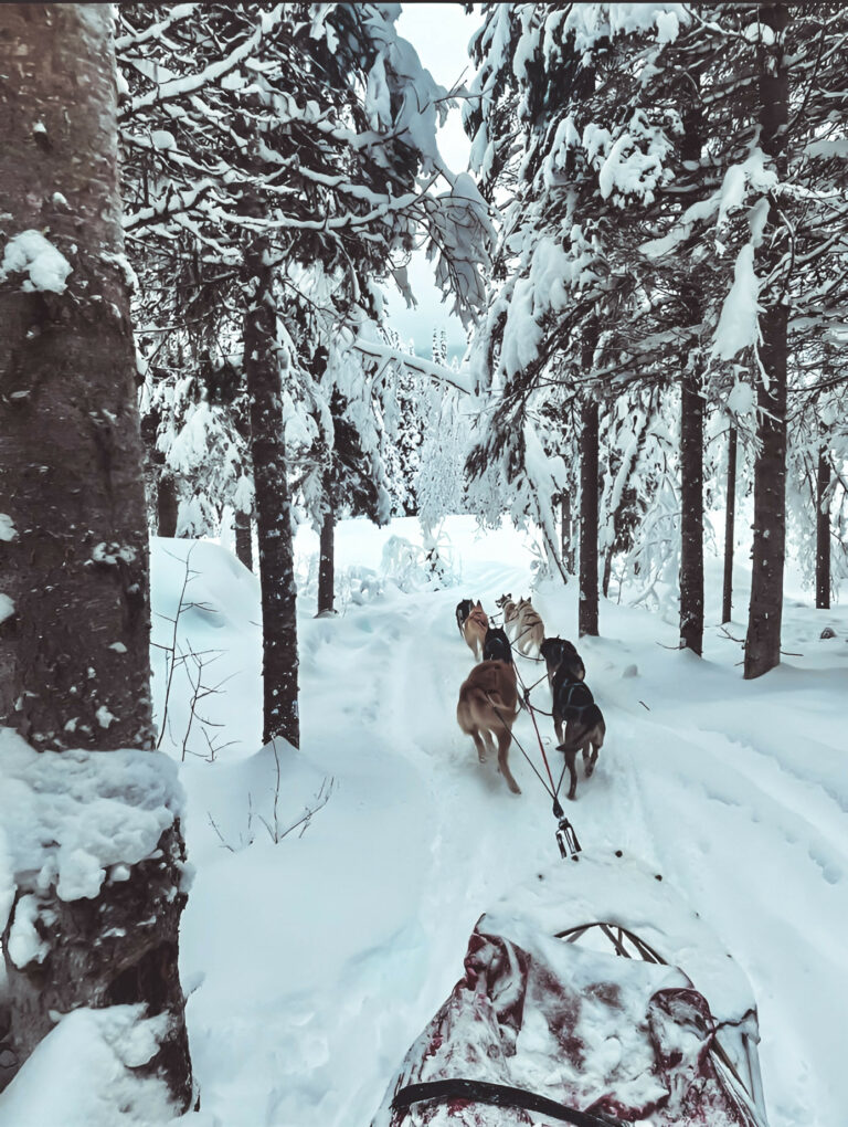 Wintertime Adventures That Live Up To The Hype
